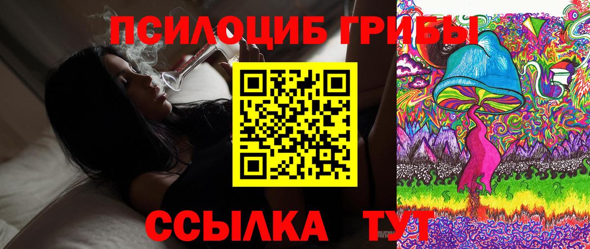 Галлюциногенные грибы прущие грибы Елизово