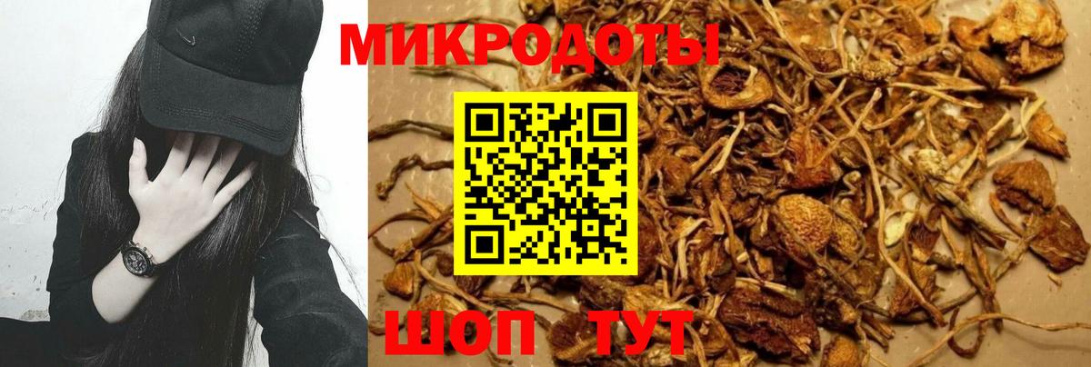 Галлюциногенные грибы мицелий  Галлюциногенные грибы Psilocybe  Вход с VPN  Елизово 